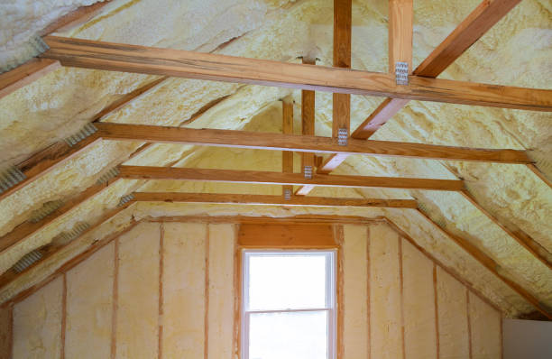 Best Residential Insulation in Montrose, MI